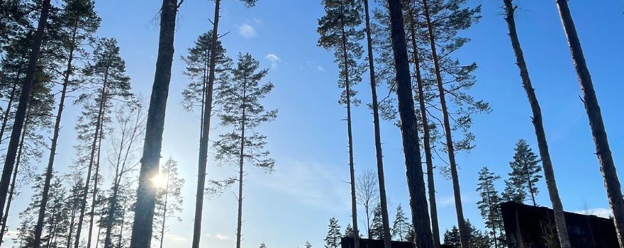 Gardermoen