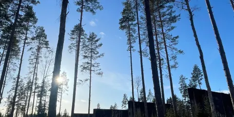 Trandumskogen War Memorial
