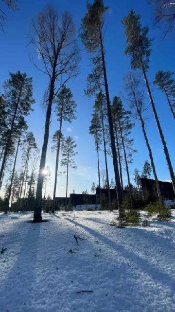 Trandumskogen War Memorial