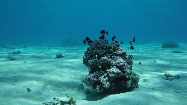 Tahiti Lagoon Paradise
