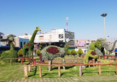 Bosque Municipal de Tacna