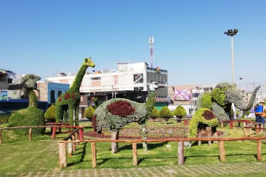 Bosque Municipal de Tacna