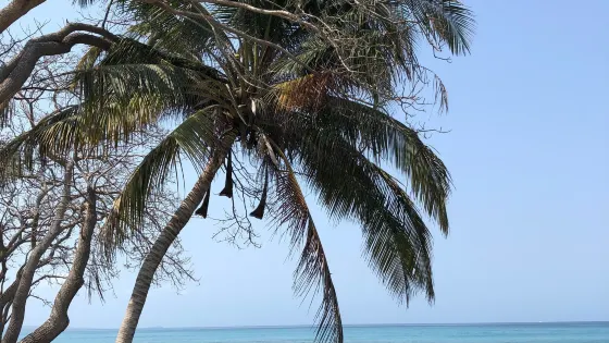 Playa puntilla