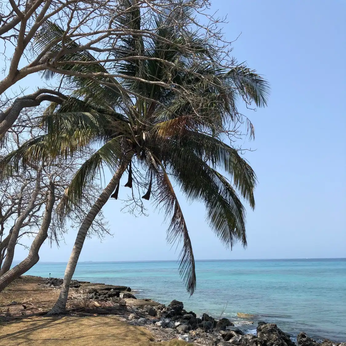 Hotels near Playa puntilla