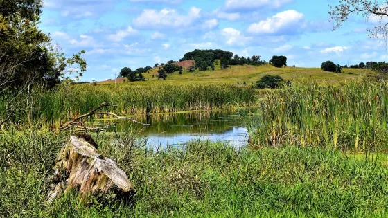 Pheasant Branch Conservancy