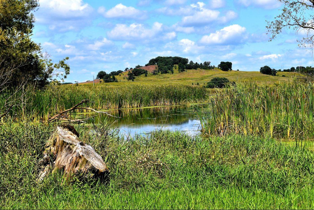 Pheasant Branch Conservancy