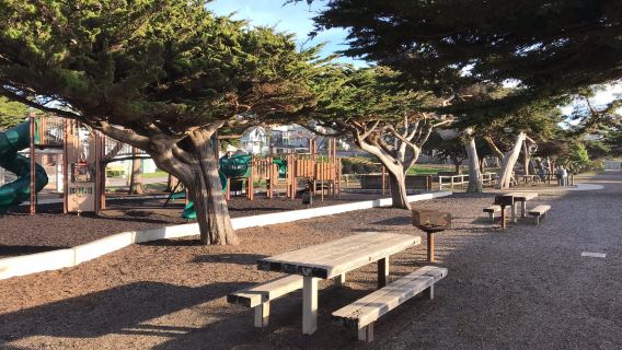 Shamel Park