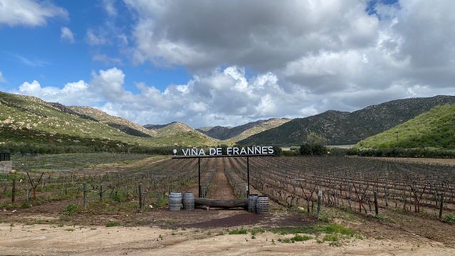 Vina de Frannes