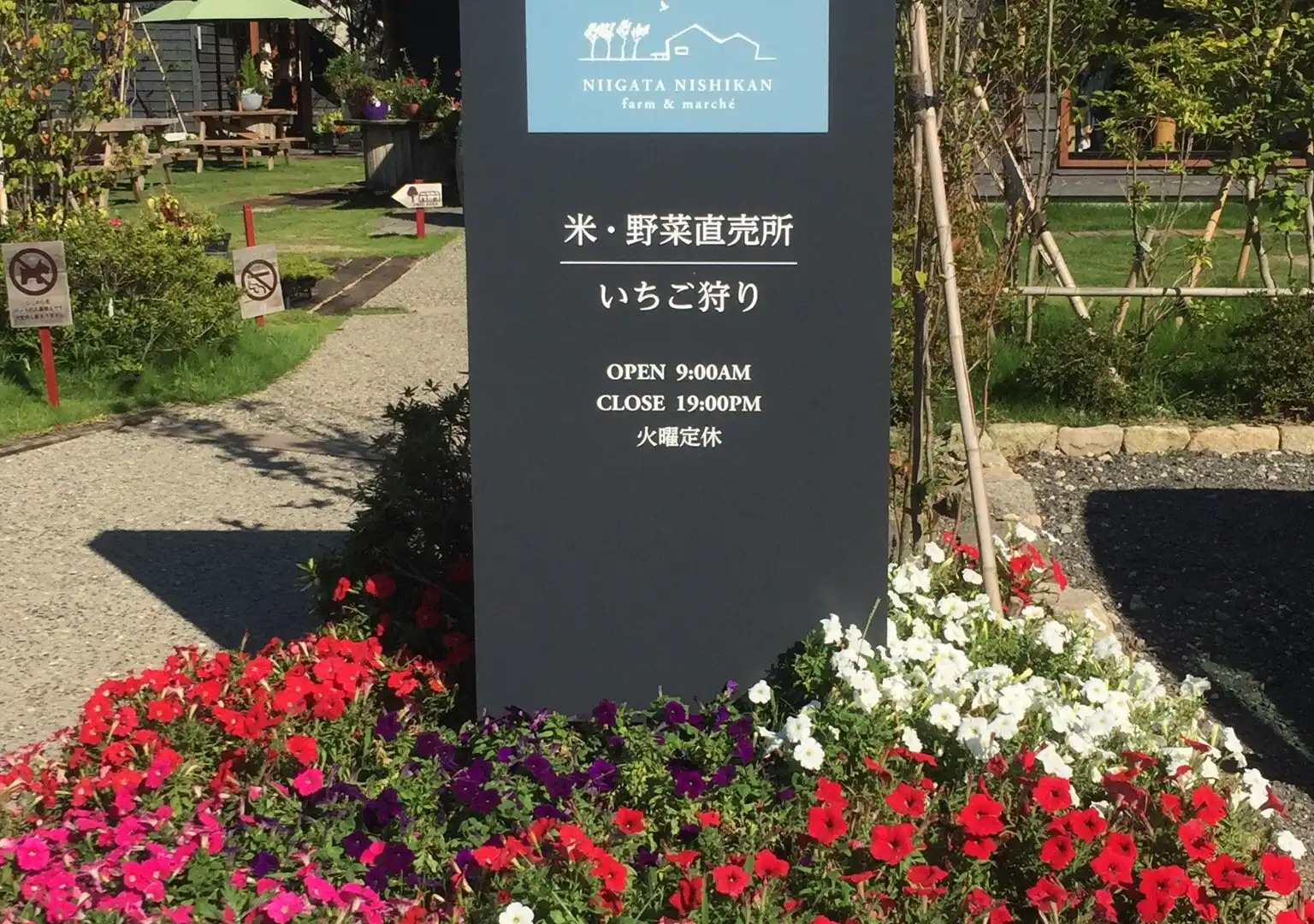 そら野テラス周辺のホテル