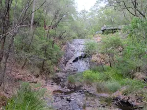 Greater Beedelup National Park