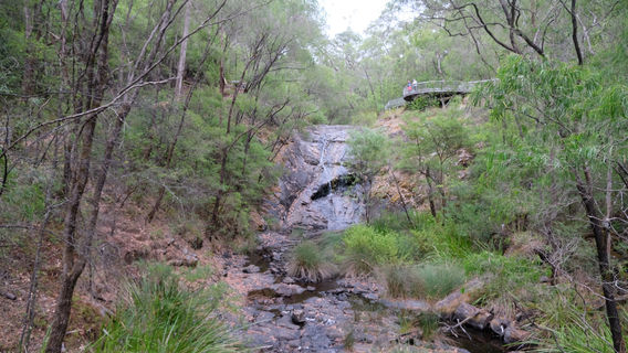 Greater Beedelup National Park