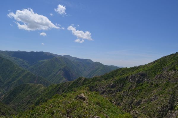 vahdat
