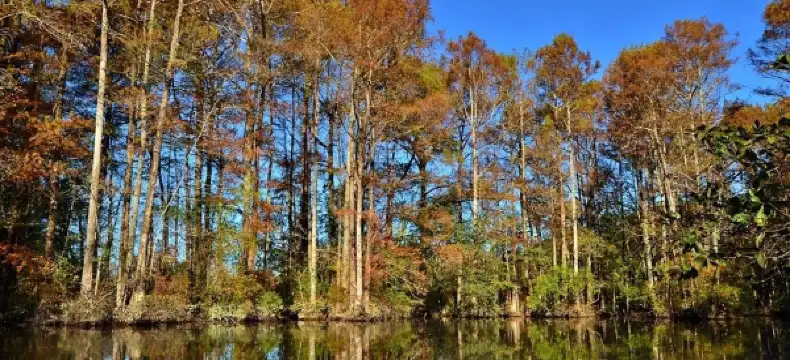 Hotels in Wake County
