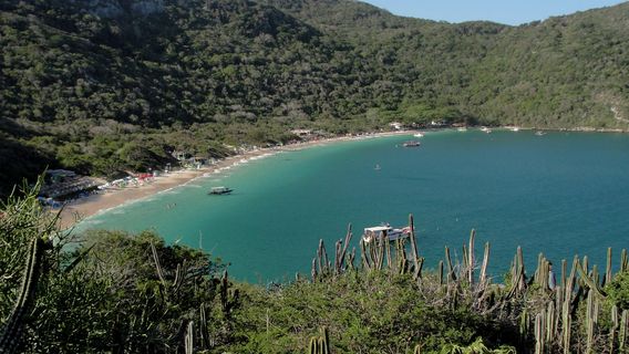 Oven's Beach