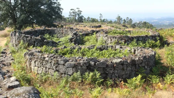 Citania de Sanfins