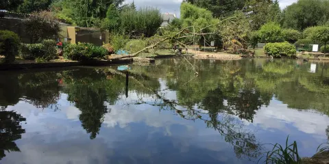 Parc Ornithologique de Bretagne