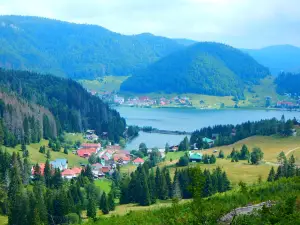 Palcmanska Masa