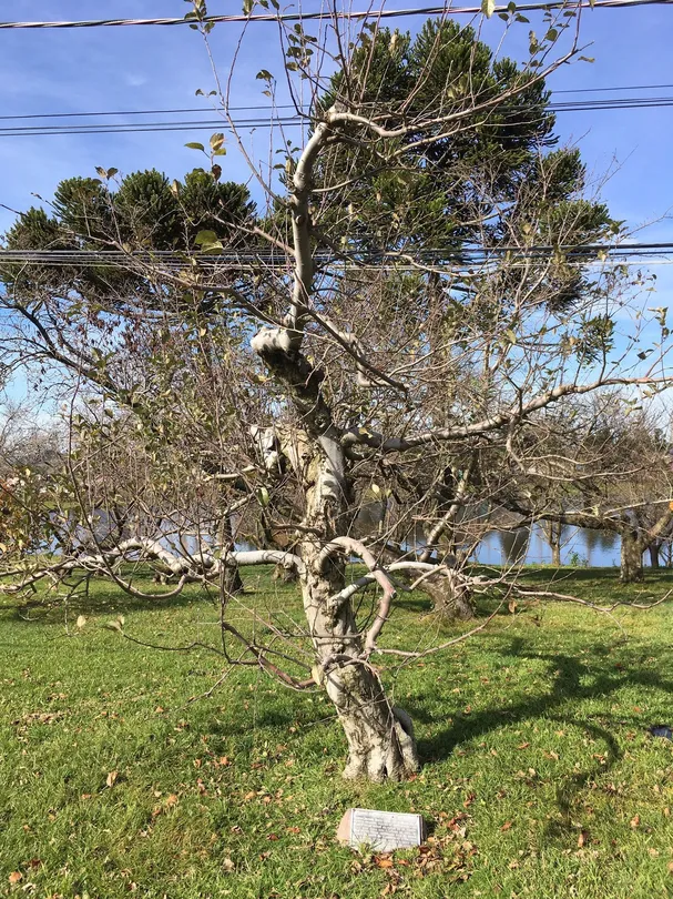 3_Epagri - San Joaquin Experimental Station