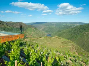 Bodegas Regina Viarum