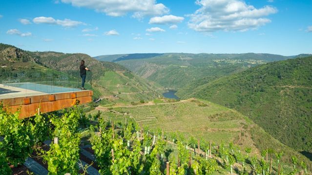 Bodegas Regina Viarum