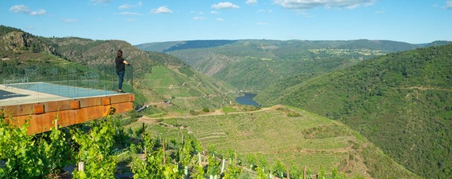Bodegas Regina Viarum