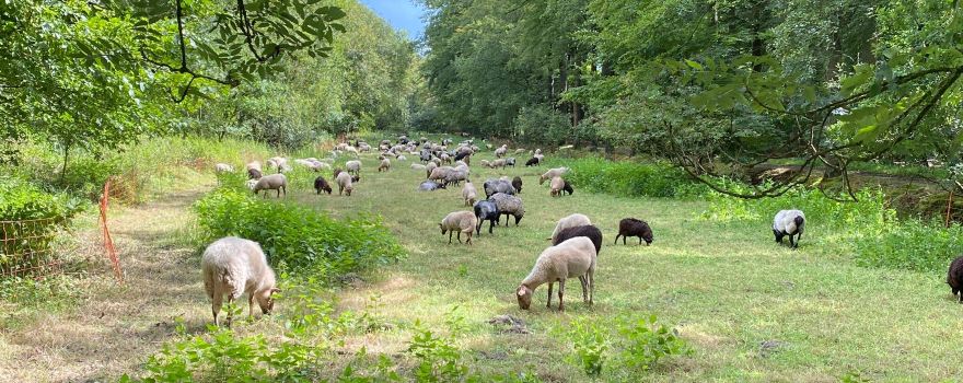 Landschapspark Drongengoed
