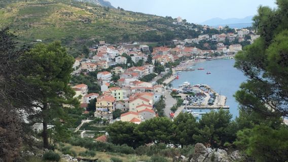 Podgora