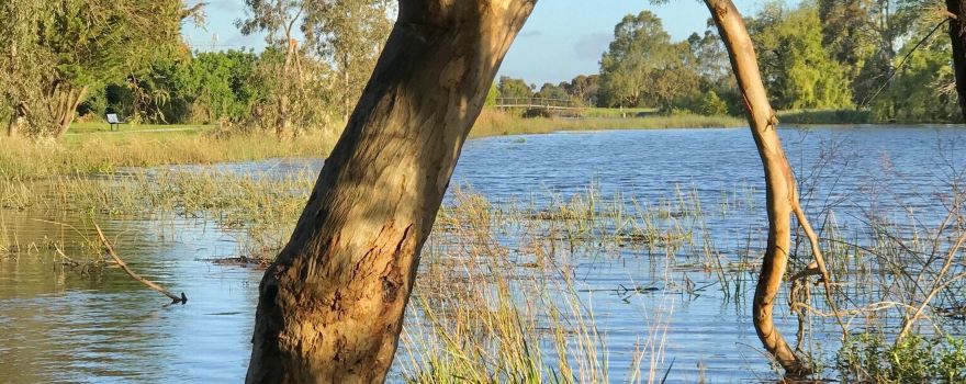 Taylors Lakes