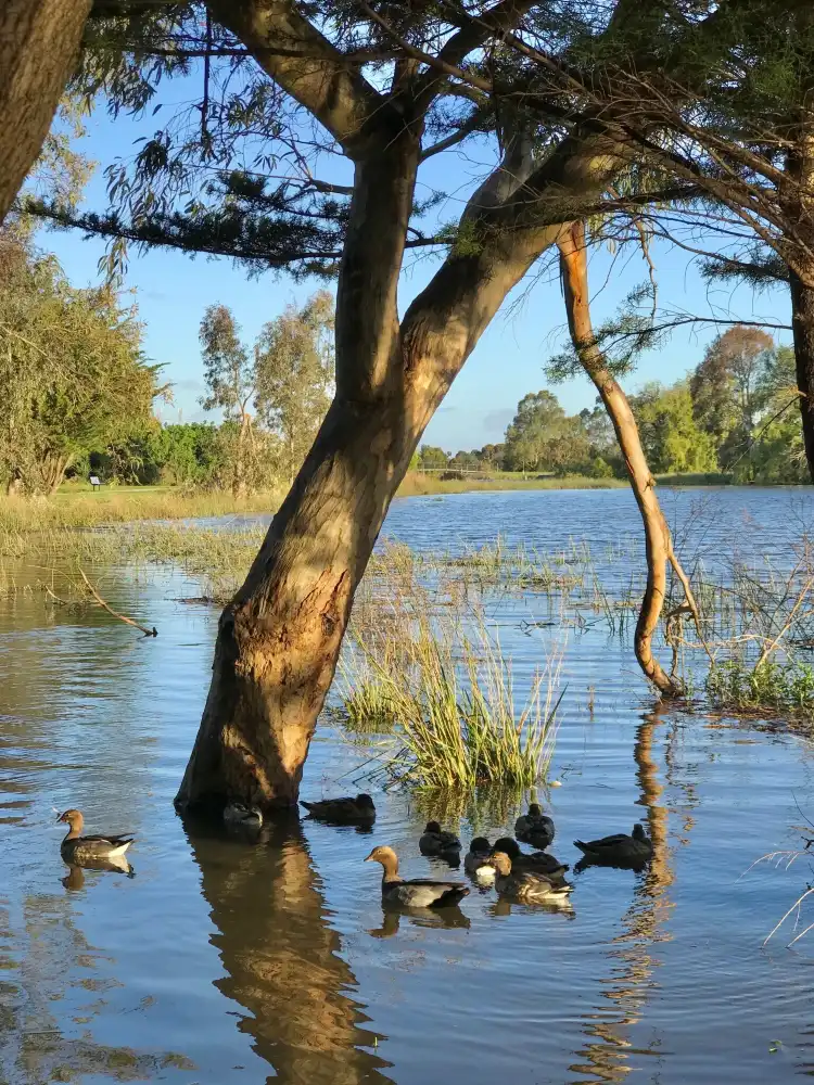 Hotel di Taylors Lakes