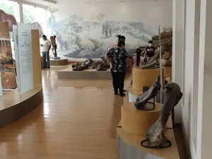 Paleontological Museum Megaterio