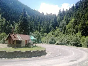 Ekrem Orhon Çamlık Piknik Mesire Yeri