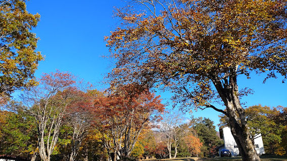 Zao Botaira countries set camp field