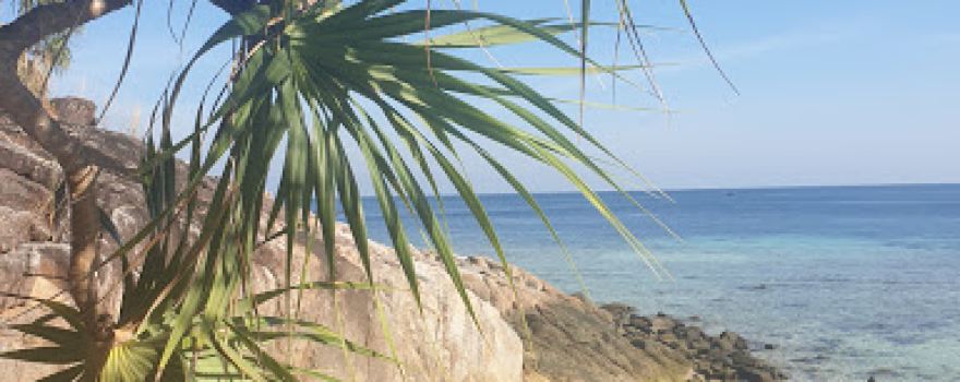 Svedo Beach