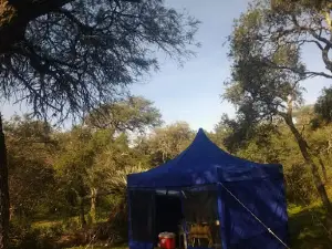 Camping los mistoles