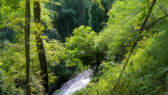 Tad Mei Waterfall