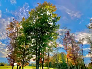 Monroeville Community Park West