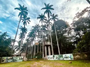 Bunso Eco Park (Bunso Arboretum)