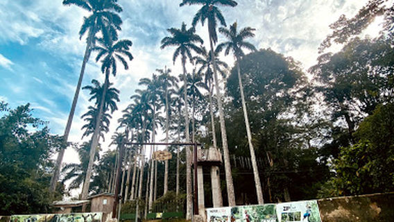 Bunso Eco Park (Bunso Arboretum)