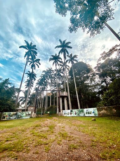 Bunso Eco Park (Bunso Arboretum)