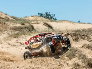 Oleshky Sands National Nature Park