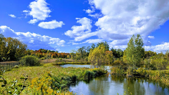 Guelph