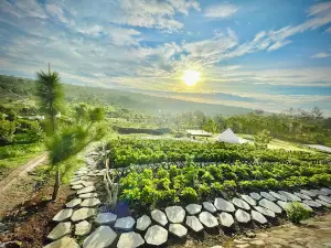 Lắk Hill Farm