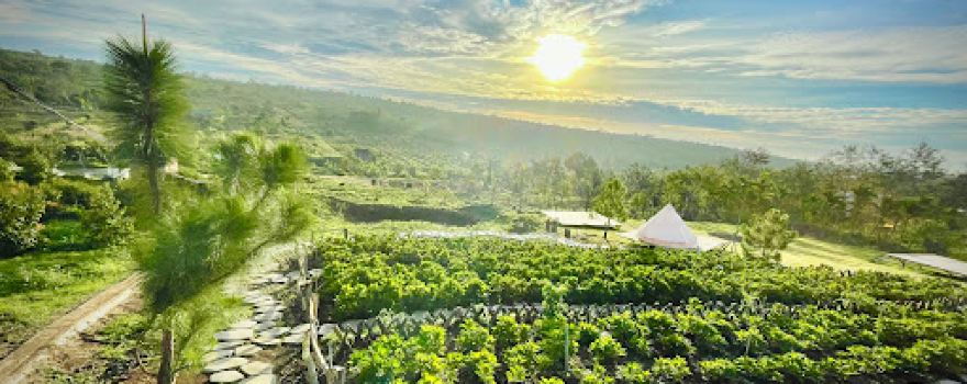 Lắk Hill Farm