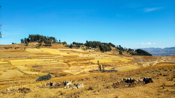 Tsadkane Maryam Church - Monastry