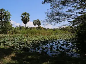โบราณสถานเขาคูหา