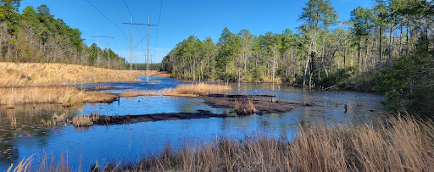 Brunswick Nature Park