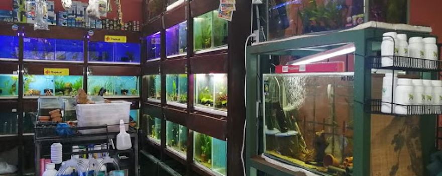 Acuario Aquabull