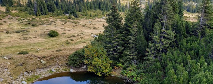 Rezervaţia botanică Tăul Fără Fund