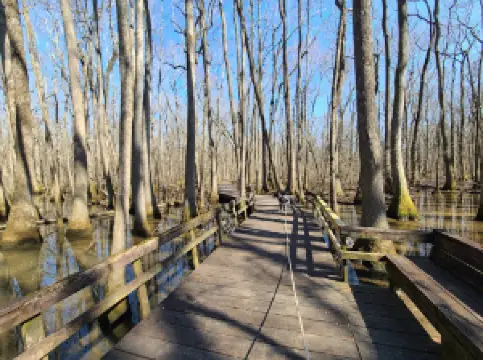 Beaver Dam Nature Trail