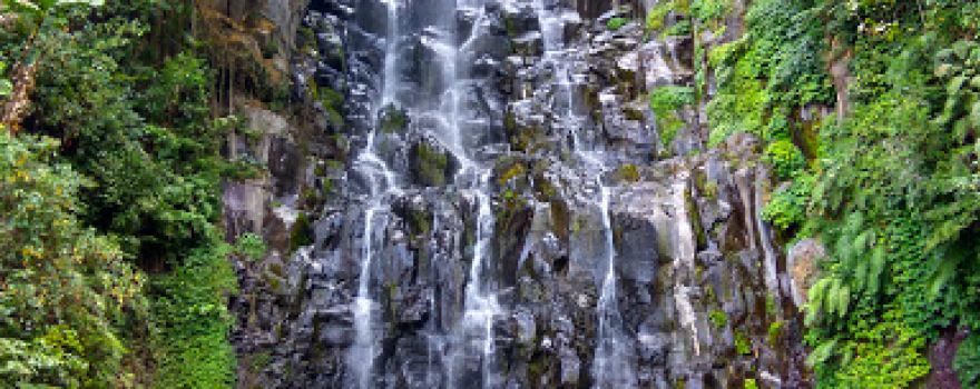 Niagara Ngleyangan